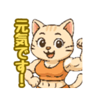 敬語で筋肉猫のキュートなマッスルキャット（個別スタンプ：13）