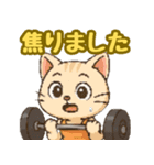 敬語で筋肉猫のキュートなマッスルキャット（個別スタンプ：16）
