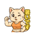 敬語で筋肉猫のキュートなマッスルキャット（個別スタンプ：17）
