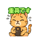 敬語で筋肉猫のキュートなマッスルキャット（個別スタンプ：20）