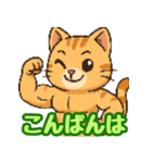 敬語で筋肉猫のキュートなマッスルキャット（個別スタンプ：21）