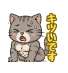 敬語で筋肉猫のキュートなマッスルキャット（個別スタンプ：23）
