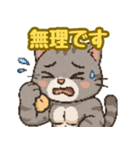 敬語で筋肉猫のキュートなマッスルキャット（個別スタンプ：25）