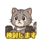 敬語で筋肉猫のキュートなマッスルキャット（個別スタンプ：26）