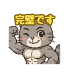 敬語で筋肉猫のキュートなマッスルキャット（個別スタンプ：28）