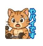 敬語で筋肉猫のキュートなマッスルキャット（個別スタンプ：29）