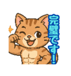 敬語で筋肉猫のキュートなマッスルキャット（個別スタンプ：30）