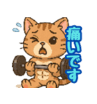 敬語で筋肉猫のキュートなマッスルキャット（個別スタンプ：31）