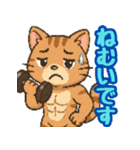 敬語で筋肉猫のキュートなマッスルキャット（個別スタンプ：32）
