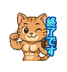 敬語で筋肉猫のキュートなマッスルキャット（個別スタンプ：33）