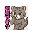 敬語で筋肉猫のキュートなマッスルキャット（個別スタンプ：35）