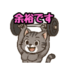 敬語で筋肉猫のキュートなマッスルキャット（個別スタンプ：37）