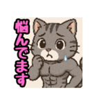 敬語で筋肉猫のキュートなマッスルキャット（個別スタンプ：38）