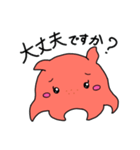 タコーズ かわいいメンダコ 敬語ver.（個別スタンプ：19）
