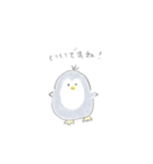 えんぴつぺんぎん【敬語】（個別スタンプ：1）