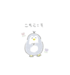 えんぴつぺんぎん【敬語】（個別スタンプ：17）