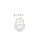 えんぴつぺんぎん【敬語】（個別スタンプ：26）