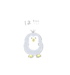 えんぴつぺんぎん【敬語】（個別スタンプ：29）