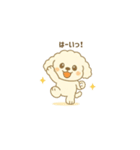 トイプードルのプチくん（個別スタンプ：3）