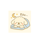 トイプードルのプチくん（個別スタンプ：5）