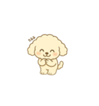トイプードルのプチくん（個別スタンプ：6）