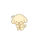 トイプードルのプチくん（個別スタンプ：9）