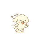 トイプードルのプチくん（個別スタンプ：17）
