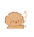 もこもふわんこちゃん（個別スタンプ：5）