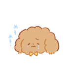 もこもふわんこちゃん（個別スタンプ：12）