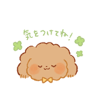 もこもふわんこちゃん（個別スタンプ：21）