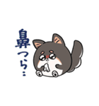ツノなしひつじ わたまる2（個別スタンプ：31）