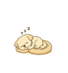 しろい子いぬの日常。（個別スタンプ：4）