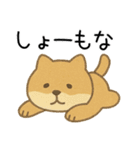 あきれ顔アニマルズ（個別スタンプ：5）