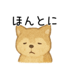 あきれ顔アニマルズ（個別スタンプ：16）