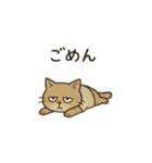 だるゆるねこ（個別スタンプ：7）