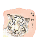 話す動物園（個別スタンプ：1）