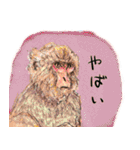 話す動物園（個別スタンプ：9）