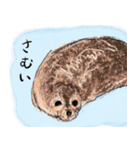 話す動物園（個別スタンプ：11）