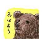 話す動物園（個別スタンプ：12）