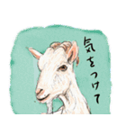 話す動物園（個別スタンプ：13）