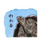 話す動物園（個別スタンプ：15）