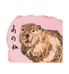 話す動物園（個別スタンプ：18）