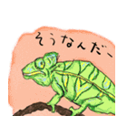 話す動物園（個別スタンプ：20）