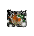 中1男子の金魚スタンプ（個別スタンプ：1）