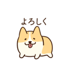 人懐こいコーギー(日常会話)（個別スタンプ：4）