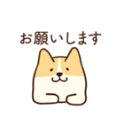 人懐こいコーギー(日常会話)（個別スタンプ：5）