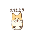 人懐こいコーギー(日常会話)（個別スタンプ：7）