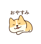人懐こいコーギー(日常会話)（個別スタンプ：8）