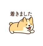 人懐こいコーギー(日常会話)（個別スタンプ：9）