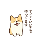 人懐こいコーギー(日常会話)（個別スタンプ：10）